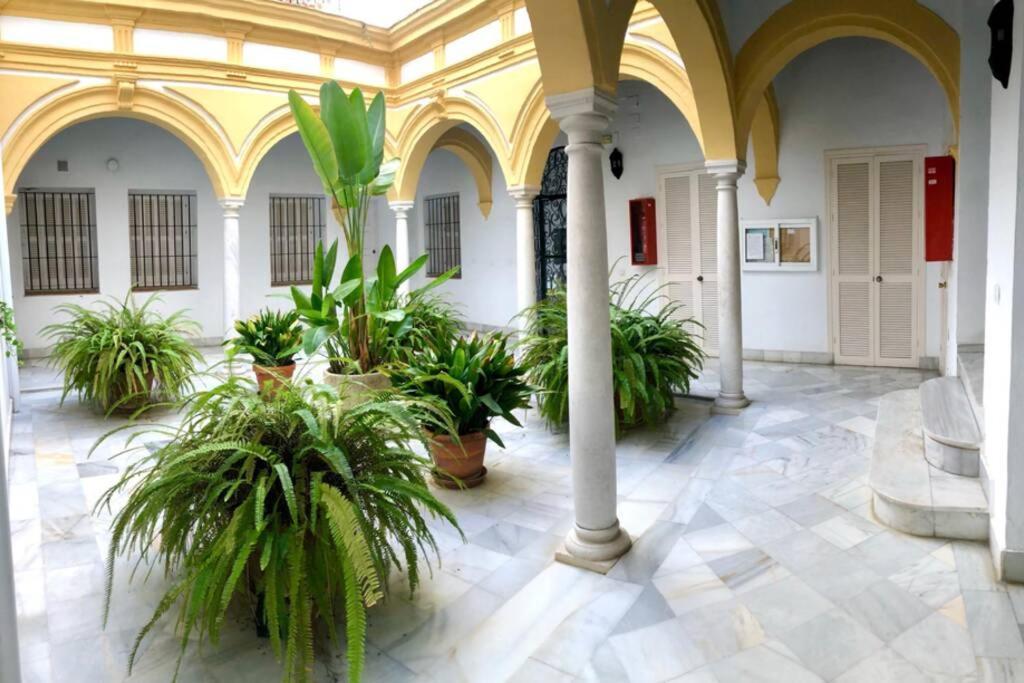 Gatu Villa Palma, Aire Acc Y Confort En El Centro Historico, " Preferente Mayores De 25 Anos Y Familias " El Puerto de Santa María Exterior foto